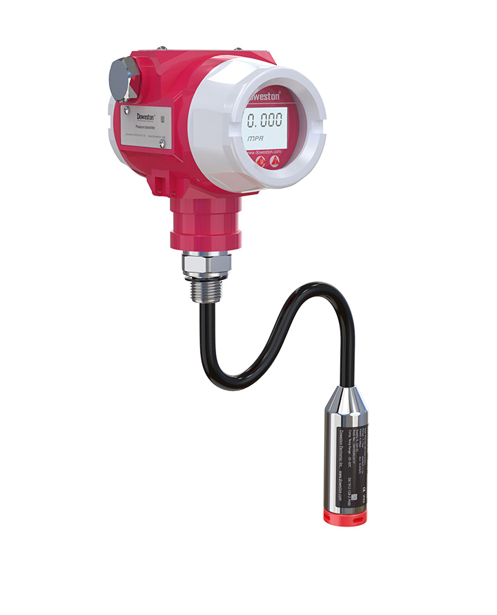 Погружной уровнемер с цифровой индикацией серии FTV-1600Q - фото продукта 3 DOWESTON