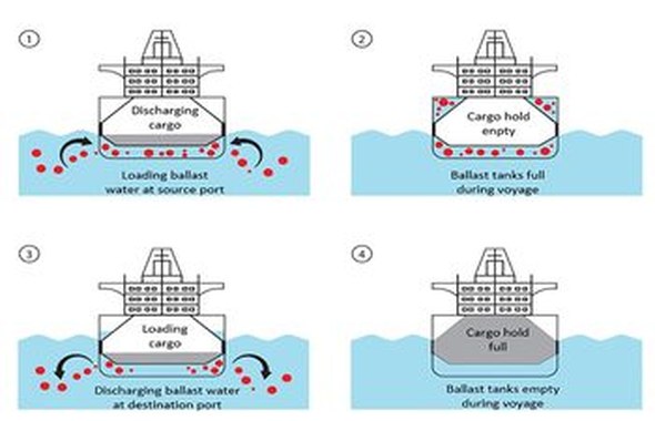 Судостроение и морская техника